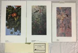 lot 38 image: Trio of Unframed Hummingbird Prints by Mario Fernandez includes Summer Memories, Misty Morning Ballerinas, and Fantasia