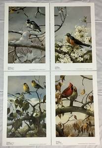 lot 37 image: The Seasons by Mario Fernandez- Includes Winter-Chickadees, Spring-Robins, Summer-Gold Finches, Fall-Cardinals