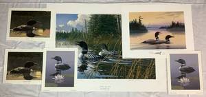 lot 28 image: Loon Print Bundle - Includes Northern Song - Loons by Micheal Sieve, Loons Song by Jerry Raedeke, (2)Summers Glow by Bruce Miller, and (2)Northern Reflections - Common Loon by Daniel Smith