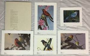 lot 40 image: Set of 5 Unframed SignedNumbered (354980) Tanagers Prints by Mario Fernandez Includes Scarlet Tanager- Plate I, Summer Tanager- Plate II, Western Tanger-Plate III, Stripe-Headed Tanager-Plate IV, Gray Blue Tanger-Plate V