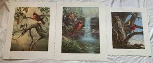 lot 62 image: Trio of Cardinal Prints Feturing Sunrise at Narrows Creek by Mario Fernandez, Cardinals at Dawn by Bruce Miller, Heritage Cardinal - Executive Edition by James Meger