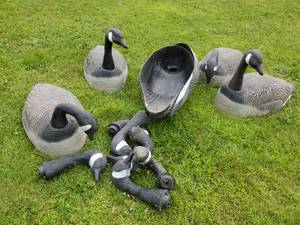 lot 63 image: 8 Large Canadian Geese Decoys or use for Displaly