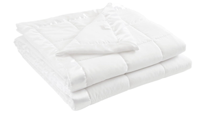 lot 369 image: Madison Park Windom Down Alternative Blanket, FullQueen