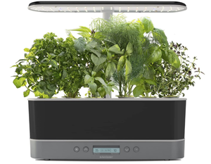 lot 223 image: AeroGarden Harvest Elite Slim Indoor Garden Hydroponic System with LED Grow Light and Herb Kit