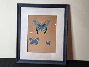lot 82 image: Framed & Signed Butterfly Artwork by Pepe Gomez