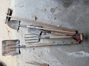 lot 170 image: Group of Gardening Tools Including Shovels, Rake, and Fork