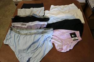 lot 69 image: 10 pairs of womens underwear sizes...