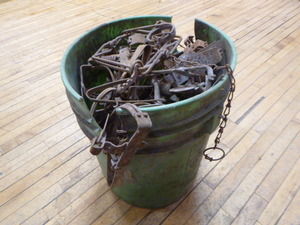 lot 13 image: Bucket of Animal Traps