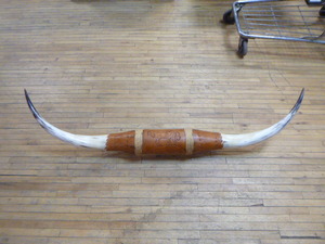 lot 104 image: Mounted Longhorn Steer Horns