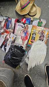lot 118 image: Assorted Lot of Halloween Costumes