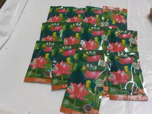 lot 129 image: 13 pkgs SOS Lotus...
