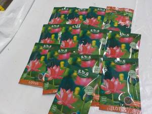 lot 130 image: 13 pkgs SOS Lotus...