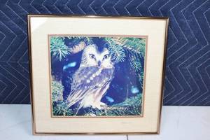 lot 52 image: Framed Owl Photograph Signed by K. Hillberry