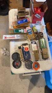 lot 1559 image: Assorted Ammunition Collection Featuring CCI, Remington, and Federal Brands