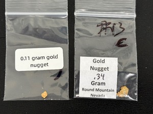 lot 24 image: .45 Grams Total Gold Nuggets