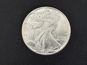 lot 49 image: 1987 Silver Eagle