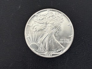 lot 51 image: 1987 Silver Eagle