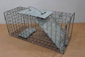 lot 234 image: 17 Havahart Live Trap