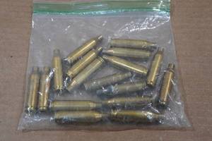 lot 282 image: Empty .243 Win Casings