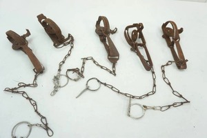 lot 136 image: (5ct) Vintage Animal Traps