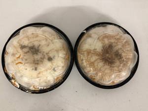 lot 132 image: E. 2x Salted Carmel Chocolate Pies