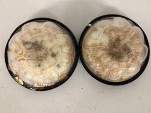 lot 135 image: E. 2x Salted Carmel Chocolate Pies