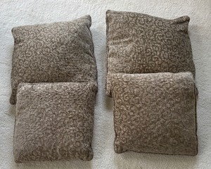 lot 104A image: Amazing Accent Pillows