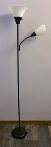 lot 149 image: Double Head Floor Lamp