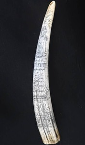 lot 4 image: SCRIMSHAW POSSIBLE  TUSK
