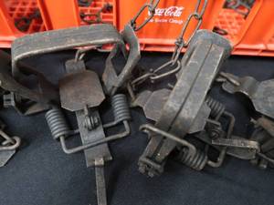 lot 74 image: 9) 1 12 COIL TRAPS