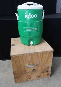 lot 89 image: COLD BOX AND COOLER