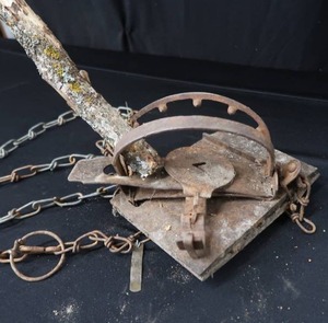lot 98 image: JUMP TRAP WITH TEETH