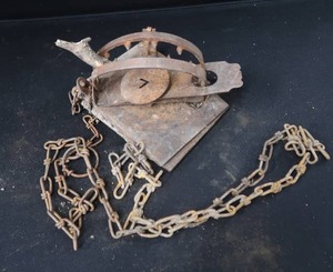 lot 99 image: JUMP TRAP