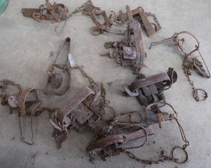 lot 101 image: 11 ASSORTED TRAPS