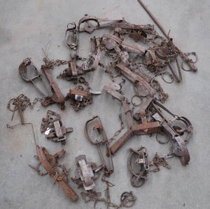 lot 29 image: 5 GALLLON BUCKET FULL O  ASSORTED TRAPS.