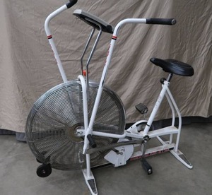 lot 49 image: SCHWINN AIR-DYNE