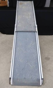 lot 50 image: EXTENDABLE PET RAMP