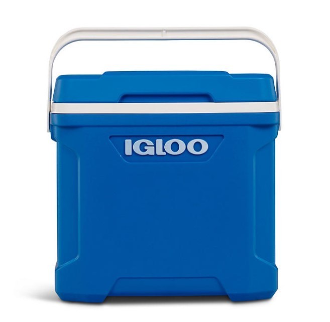 lot 291 image: NEW Igloo 30-Quart Cooler With Bail Handle and Built-In Cup Holders - BlueWhite