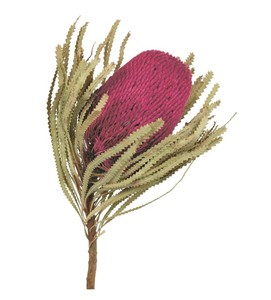 lot 121 image: Pallet of Store Overstock Vickerman Product and Returns - UNPROCESSED