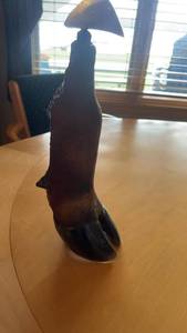 lot 407 image: Unique Taxidermy Horse Hoof Bottle Stand