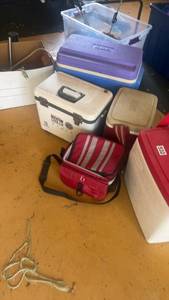 lot 532 image: Assorted Portable Coolers and Insulated Bags