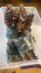 lot 542 image: Collection of Pine Cones and Holiday String Lights