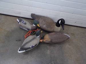 lot 42 image: Duck and Goose Decoys