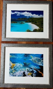 lot 122 image: Pair of Framed Tropical Island and Underwater Turtle Photos