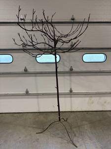 lot 11 image: Decorative Metal Ornamental Tree