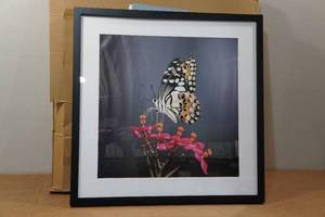 lot 3 image: Black Picture Frame - 20x20