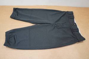 lot 196 image: Champro Adult Softball Pants - Small