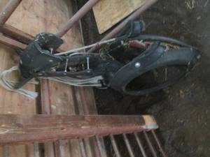 lot 42 image: Horse themed tire swing...