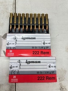 lot 10 image: 2- FULL BOXES OF 20 - 222 REMINGTON 55GR CARTRIDGES 40 TOTAL