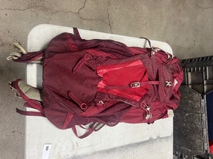 lot 55 image: GREGORY HIKING BACKPACK